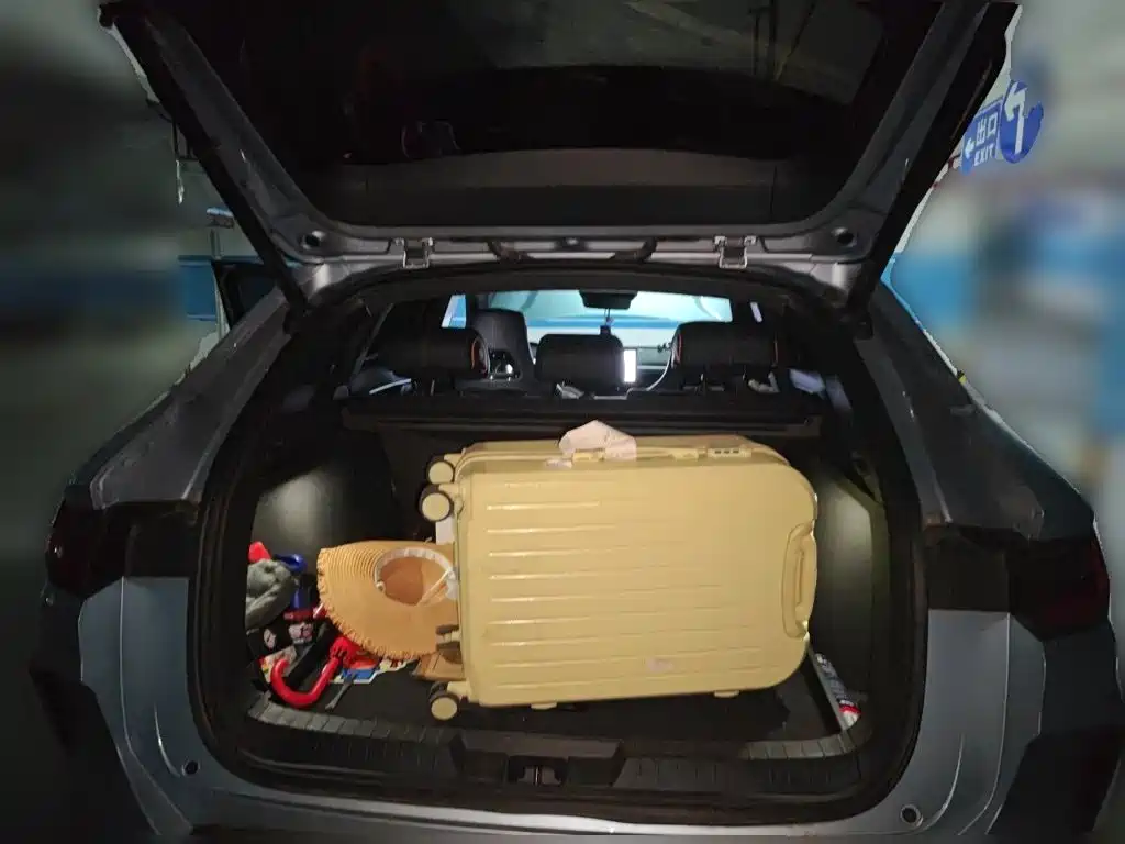 BYD Song PLUS New Energy 2023 — фото 10