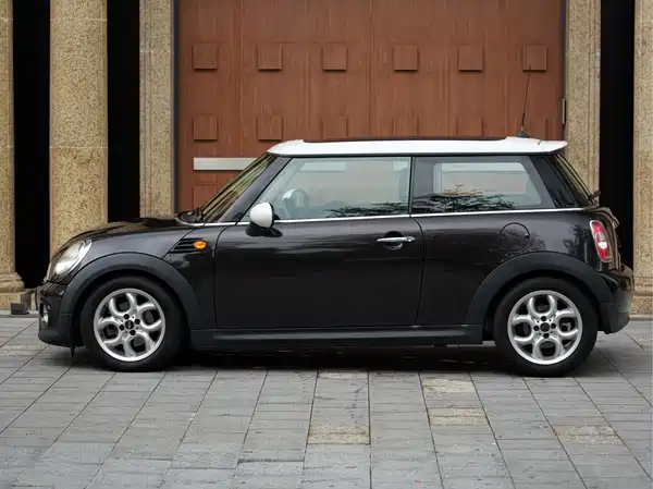 MINI 2013
