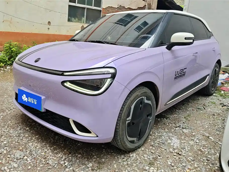 Dongfeng Nano 01 2024