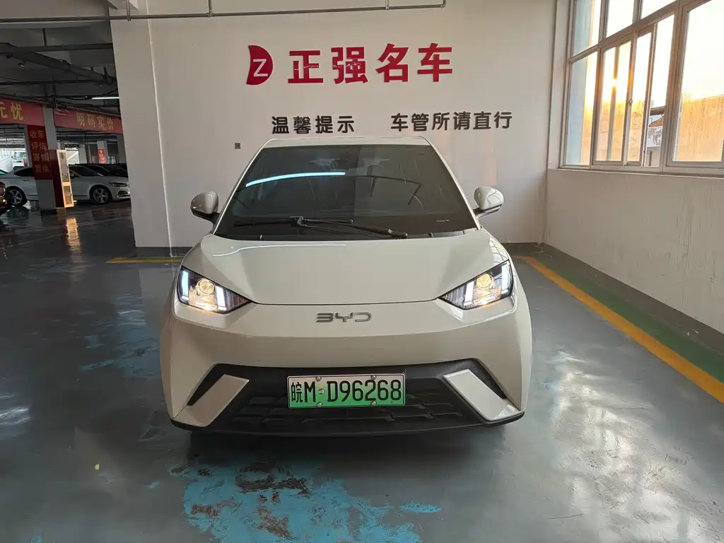 BYD Seagull 2025