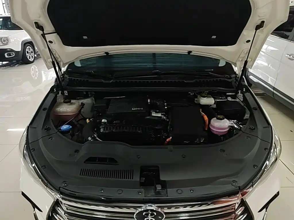 BYD Song MAX New Energy 2023 — фото 20