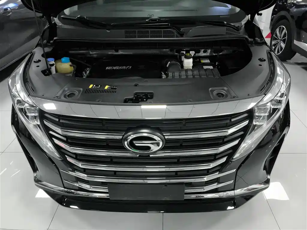 GAC Motor Trumpchi M8 2024 — фото 16