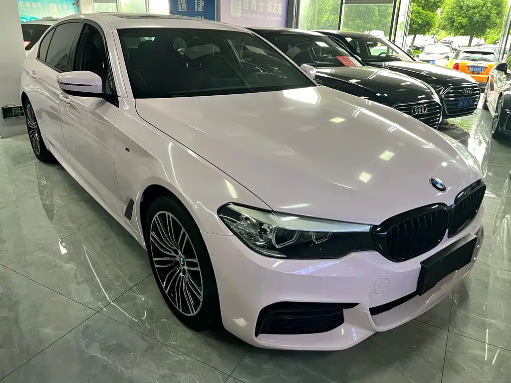 BMW 5 Series 2019