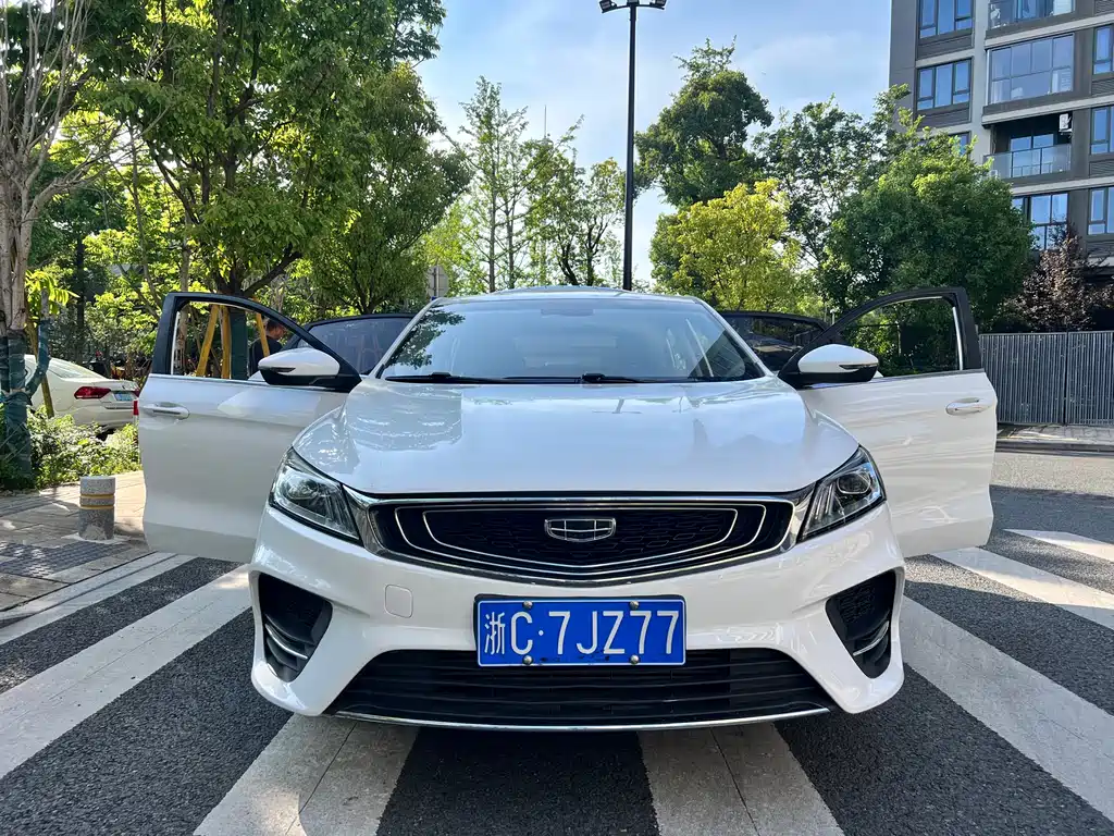 Geely Binrui 2019 — фото 23