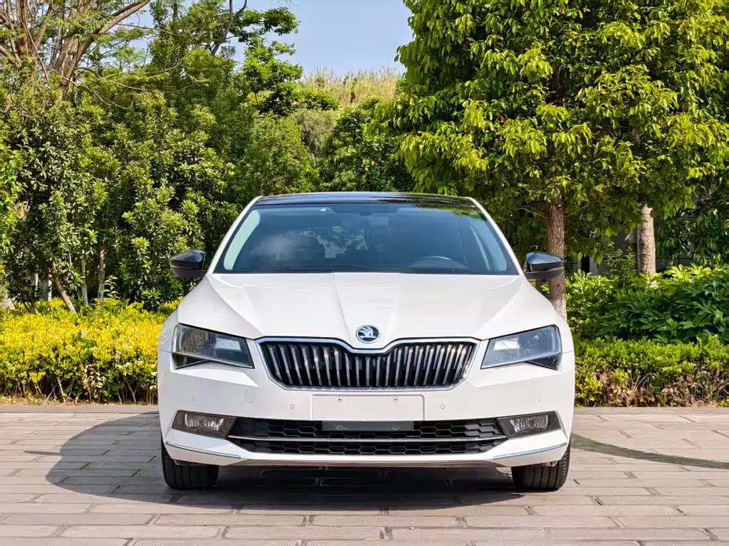 Skoda Superb 2019 — фото 2