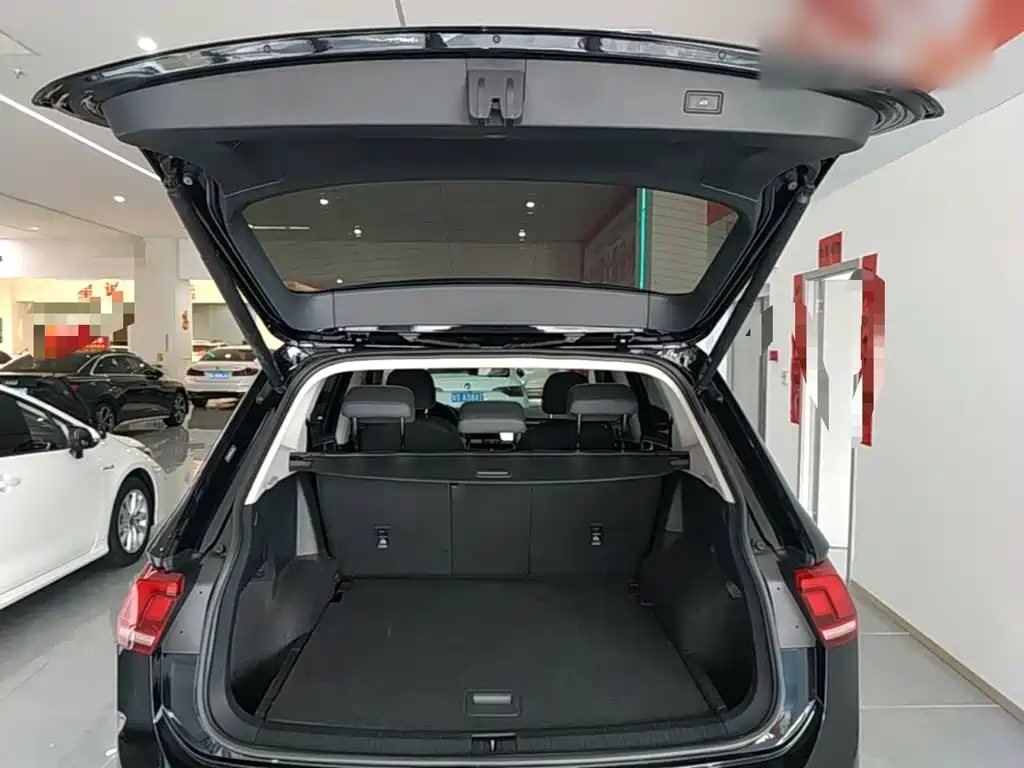 Volkswagen Tiguan L 2023 — фото 19