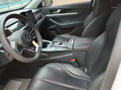 BYD Qin PLUS 2021