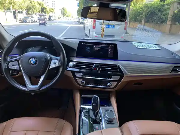 BMW 5 Series New Energy 2020