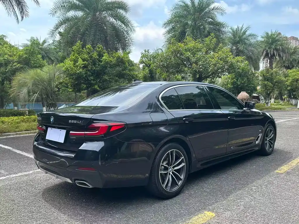 BMW 5 Series 2021