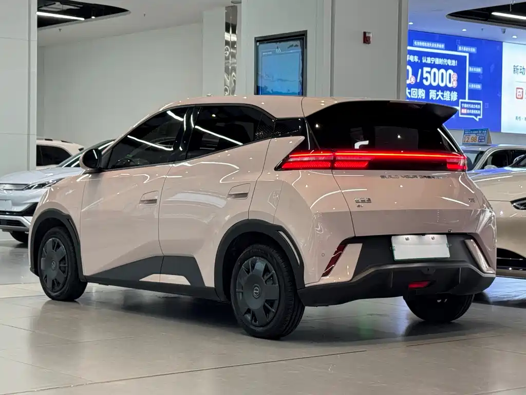 BYD Seagull 2024