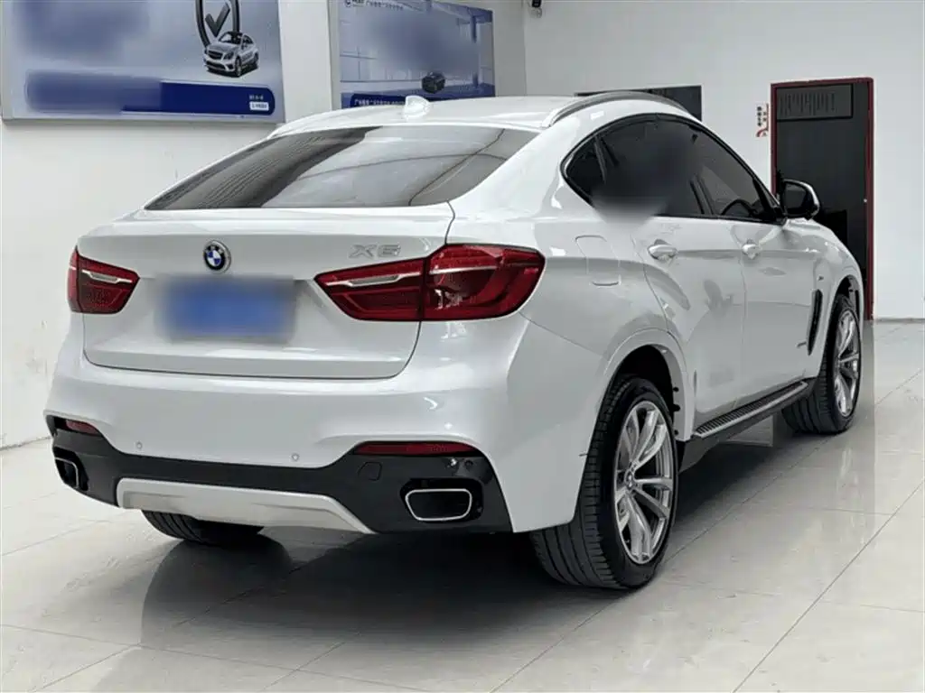 BMW X6 2019 — фото 10