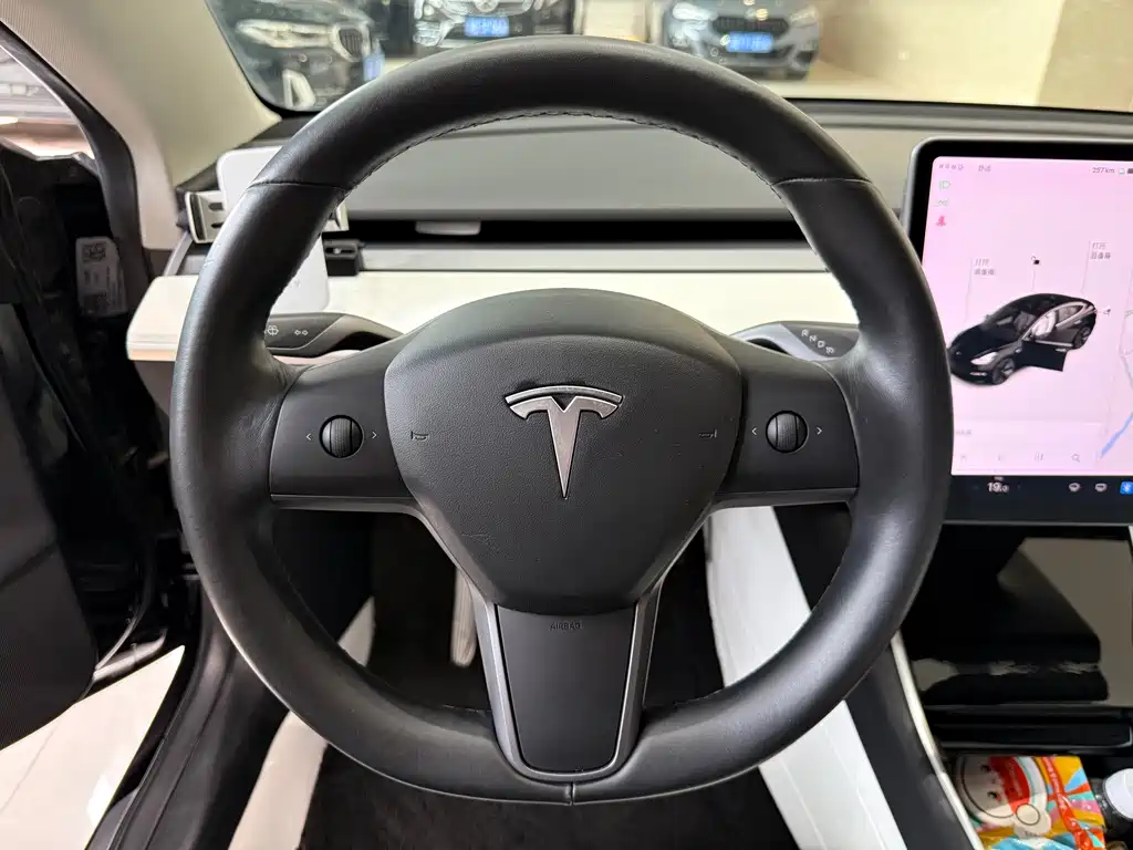 Tesla Model 3 2019 — фото 11