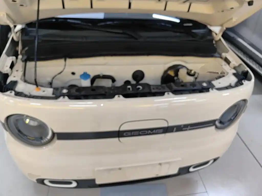 Geely Galaxy Panda 2025 — фото 20