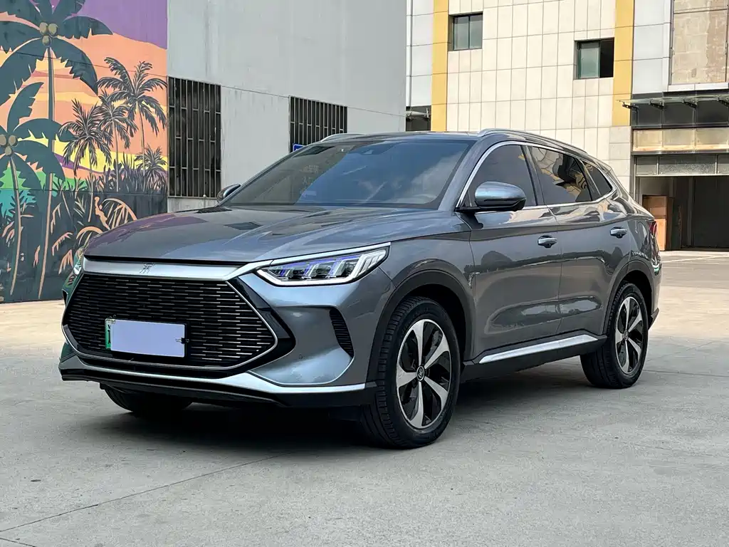 BYD PLUS New Energy 2022 — фото 1