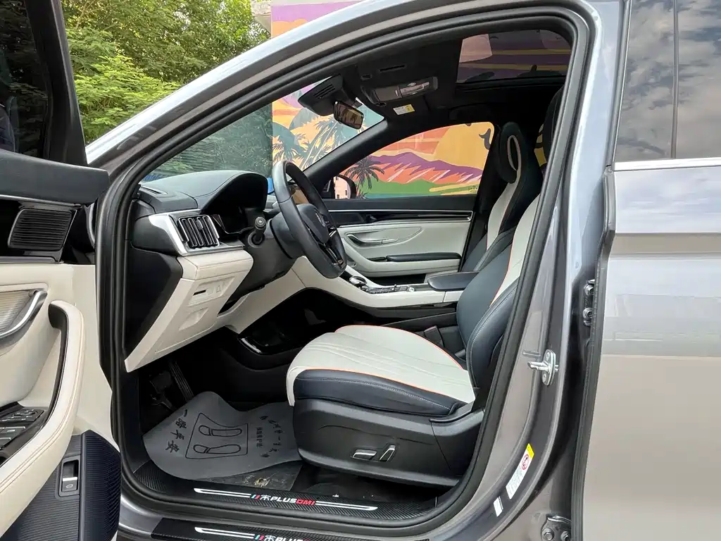 BYD PLUS New Energy 2022 — фото 13