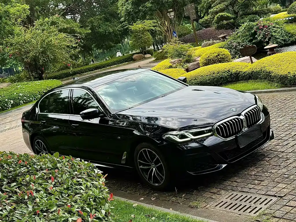 BMW 5 Series 2021