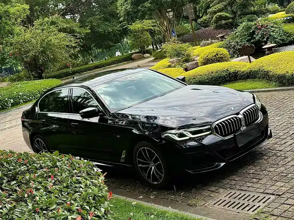 BMW 5 Series 2021