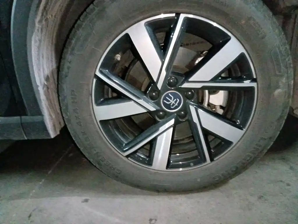 BYD Song Pro New Energy 2024 — фото 24