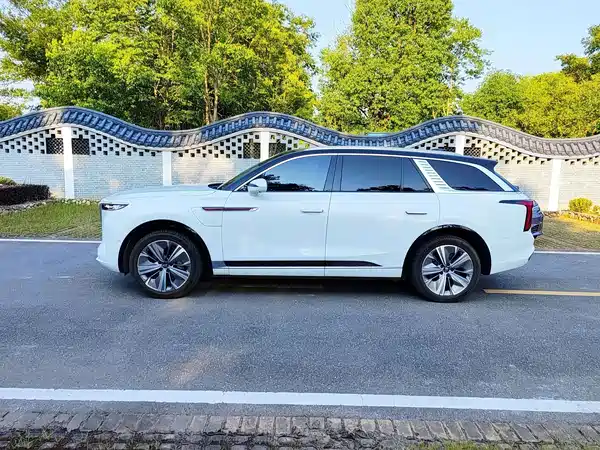 Hongqi E-HS9 2021