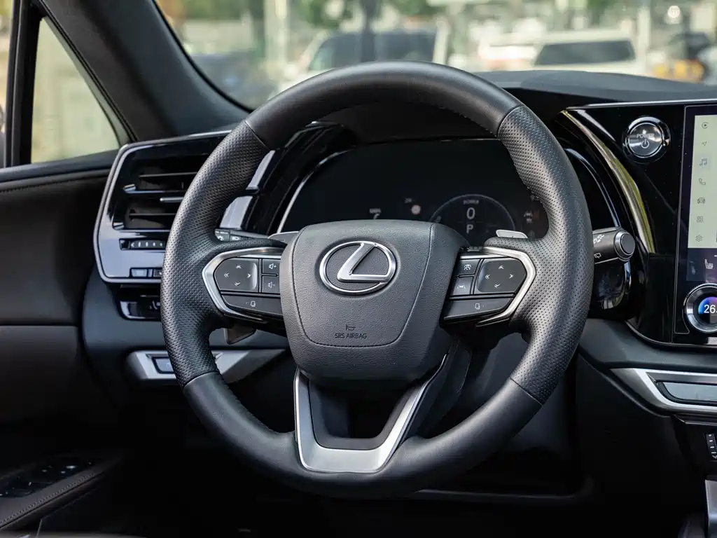 Lexus RX New Energy 2024 — фото 14