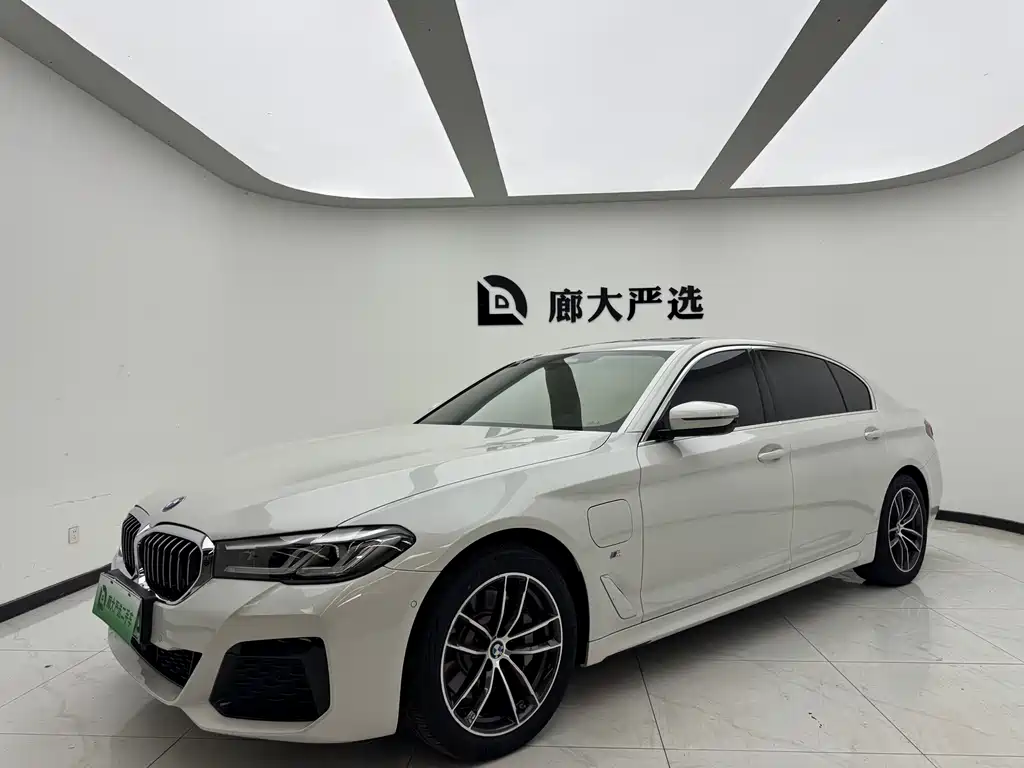 BMW 5 Series New Energy 2020