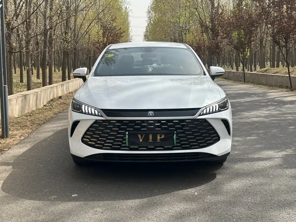 BYD Qin PLUS 2025 — фото 3