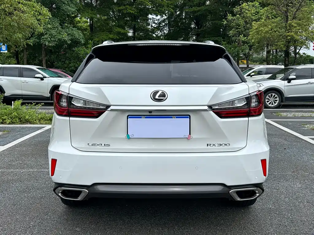 Lexus RX 2018 — фото 36