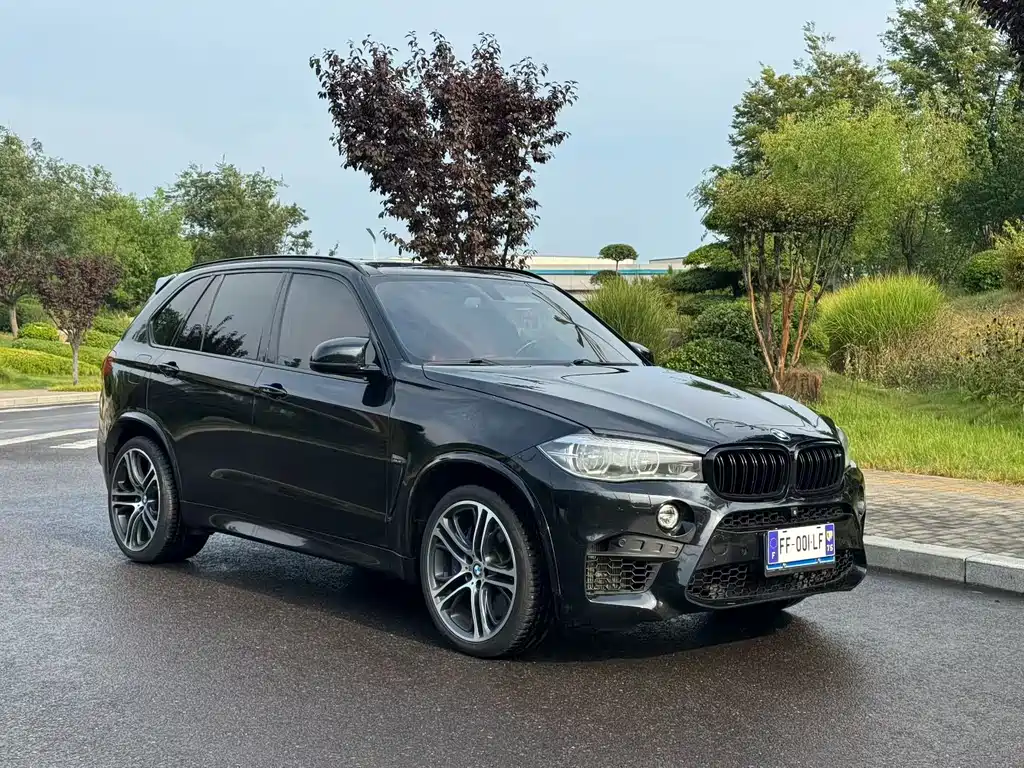 BMW X5 M 2016 — фото 2