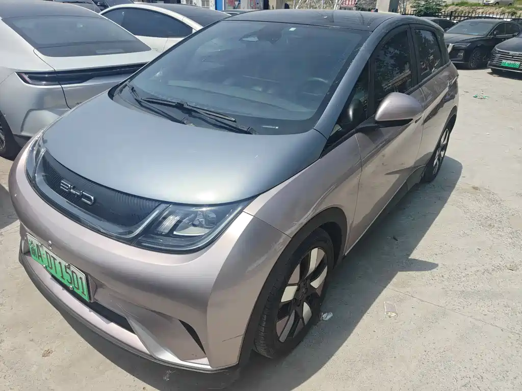 BYD Dolphin 2021