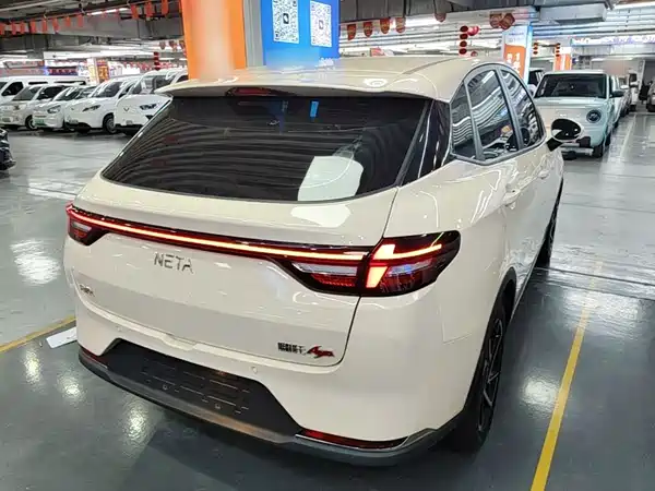 Neta AYA 2024