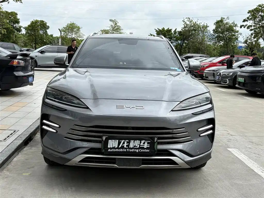 BYD PLUS New Energy 2024 — фото 2