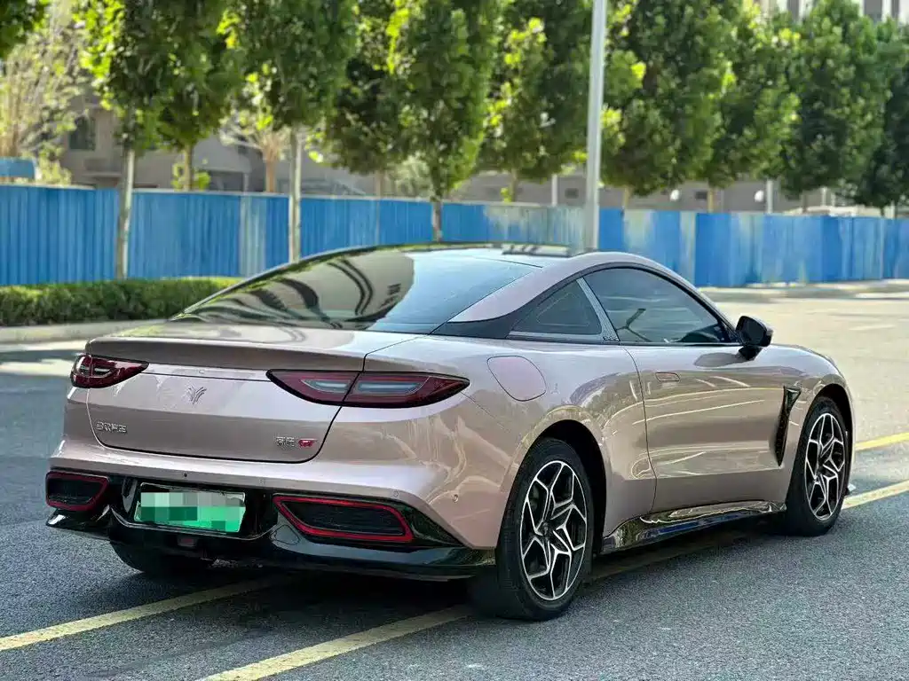 Neta GT 2024