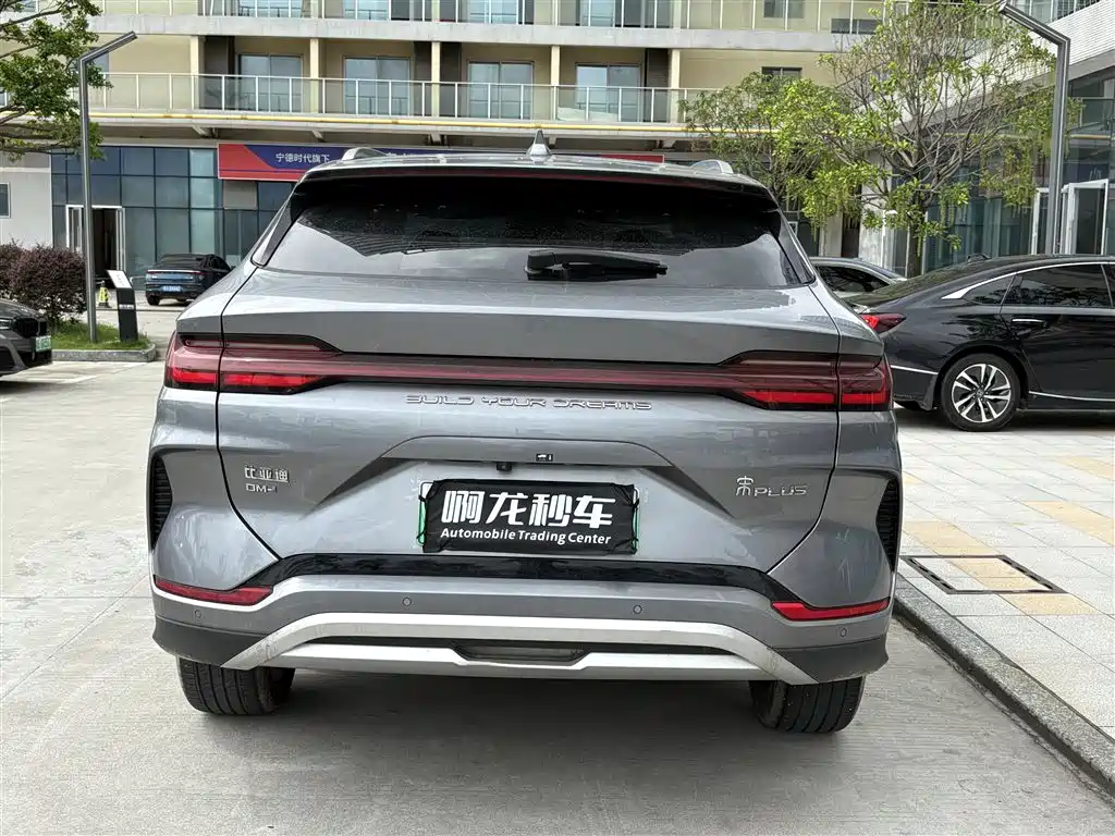 BYD PLUS New Energy 2024 — фото 8