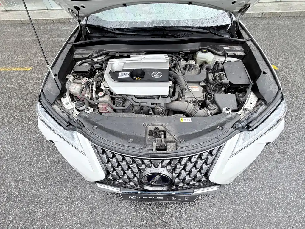 Lexus UX 2020 — фото 15