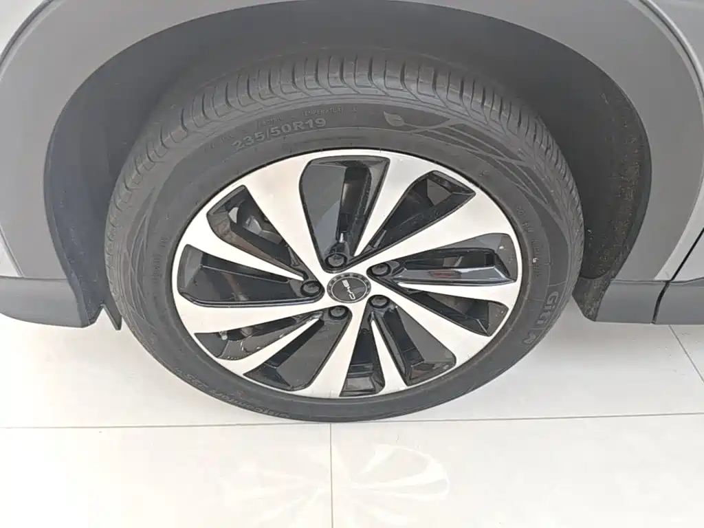 BYD Song PLUS New Energy 2024 — фото 23