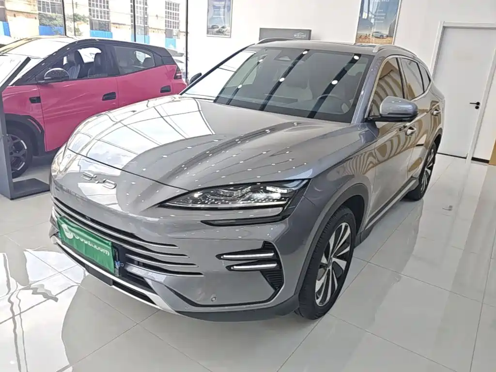BYD Song PLUS New Energy 2024 — фото 1
