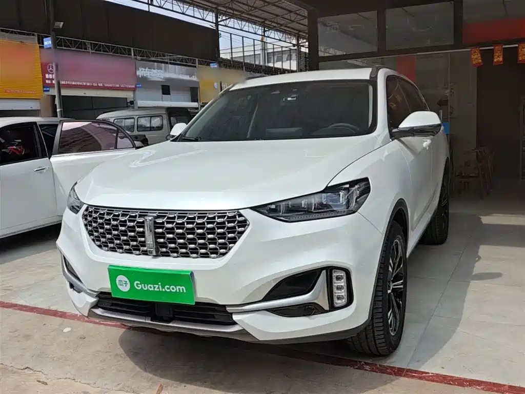Wey VV6 2020