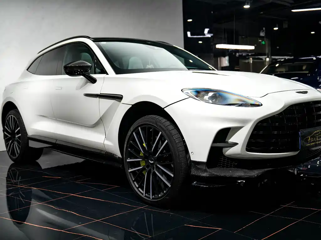 Aston Martin DBX 2023 — фото 9