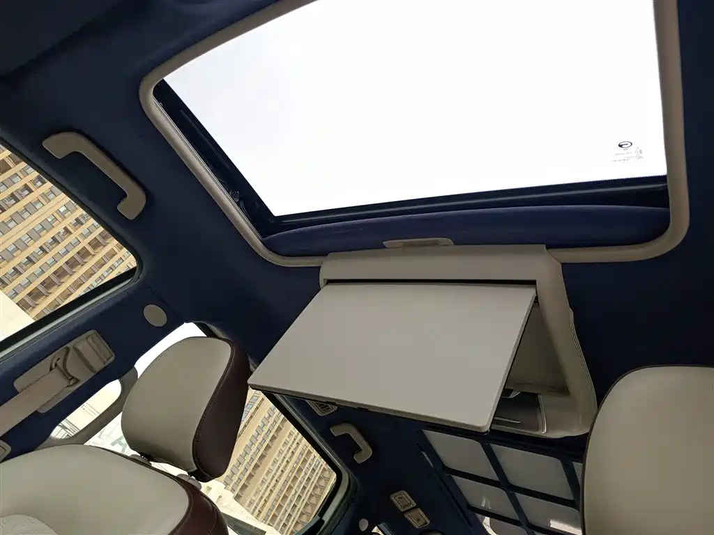 GAC Motor Trumpchi M8 2021 — фото 14
