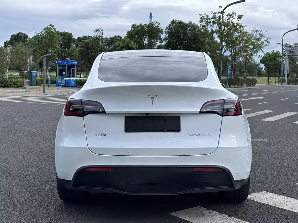 Tesla Model Y 2021 — фото 5