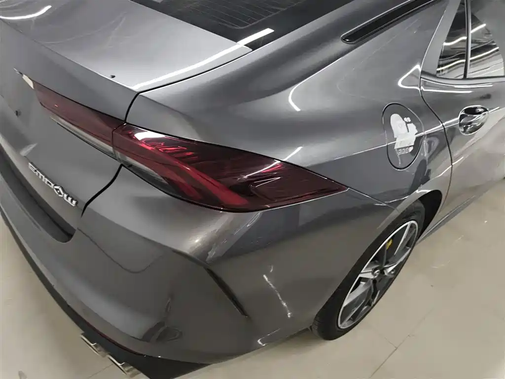 GAC Motor Shadow Leopard 2023 — фото 24