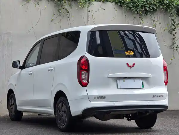 Wuling Hongguang New Energy 2025
