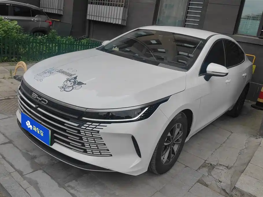 BYD Destroyer 05 2024 — фото 1