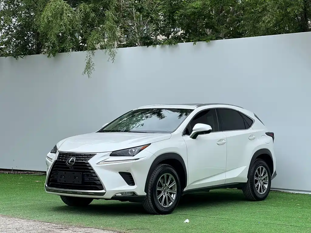 Lexus NX 2021 — фото 1