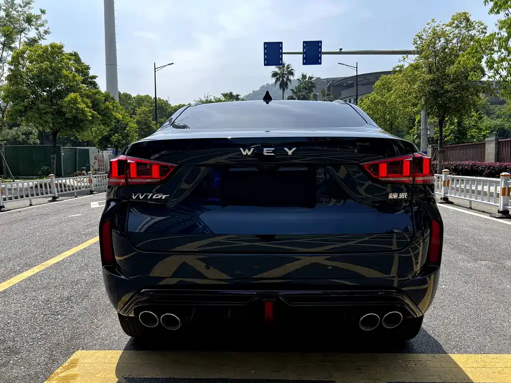 Wey VV7 GT 2020 — фото 15