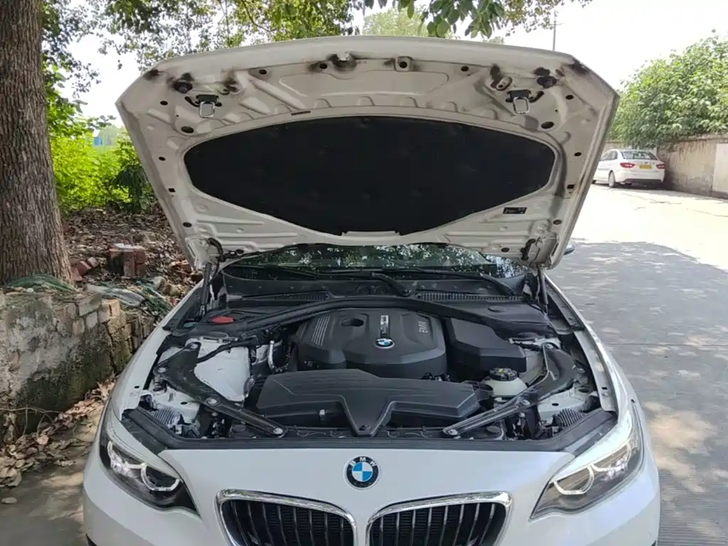 BMW 2 Series 2017 — фото 20