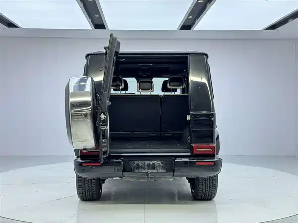 Mercedes-Benz G-Class 2010