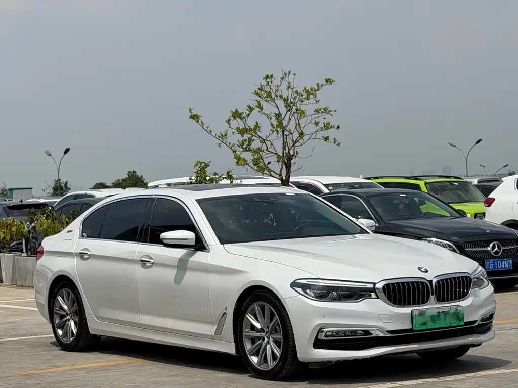BMW 5 Series New Energy 2018