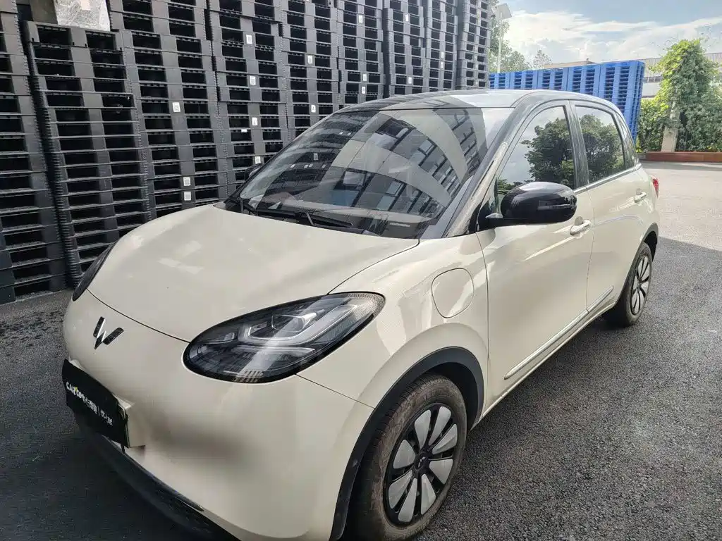 Wuling Bingo 2024