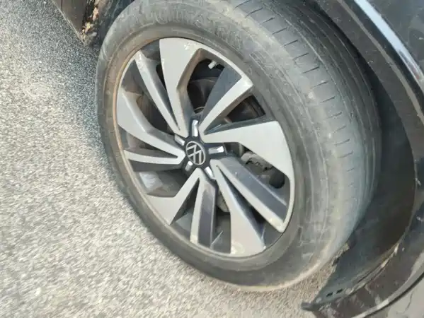 Volkswagen Tanyuex 2021